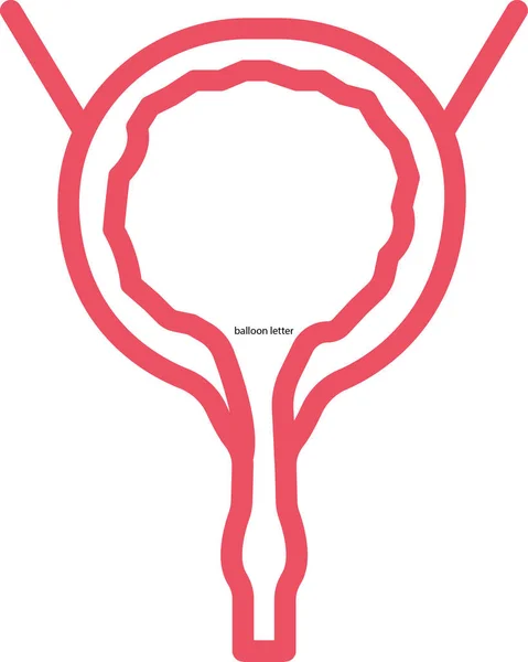 Human Urinary Bladder Flat Icon Vector Illustration — Stock Vector