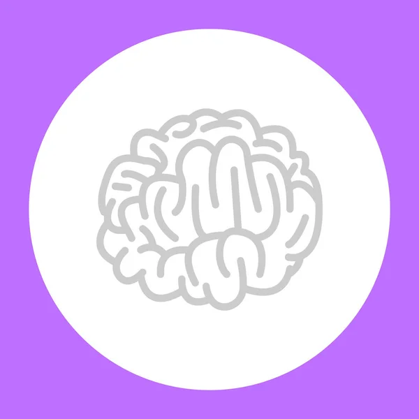 Икона Вектор Иллюстрация Человеческого Мозга — стоковый вектор