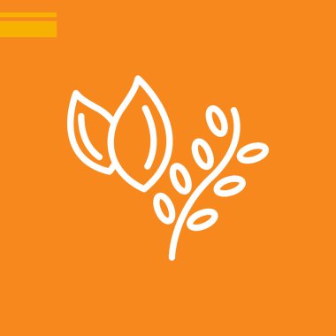 bitki gıda kutsal kişilerin resmi, vektör çizim