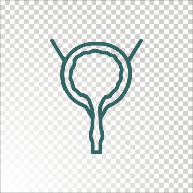 insan idrar kesesi organ kutsal kişilerin resmi, vektör çizim