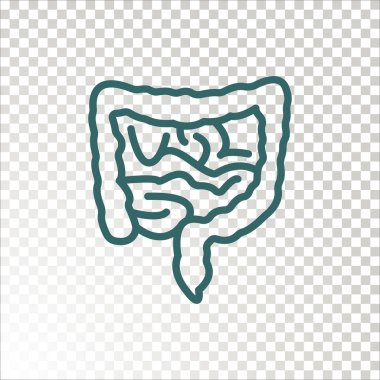 insan bağırsak kutsal kişilerin resmi, vektör çizim