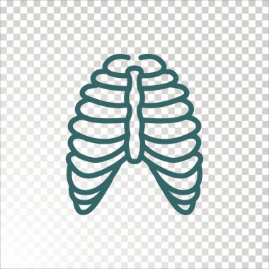 İnsan Toraks kutsal kişilerin resmi, vektör çizim