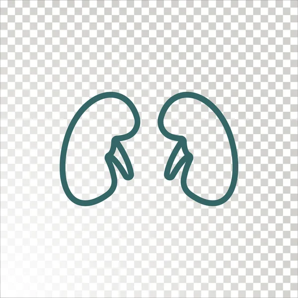 Human Kidneys Icon Vector Illustration — Stock Vector