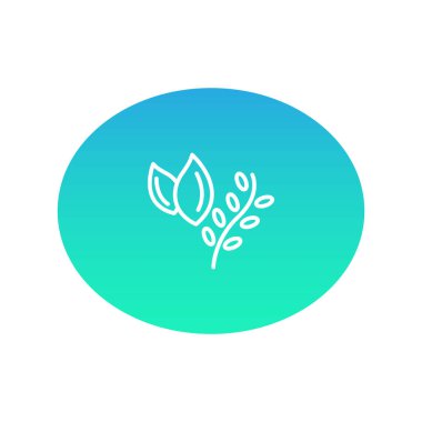 tohum ve bitki renk web simgesi. vektör çizim.