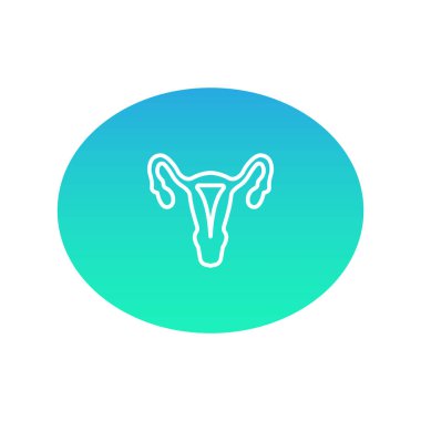 kadın üreme sistemi renk web simgesi. vektör çizim