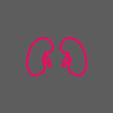 böbrekler renk web simgesi. vektör çizim