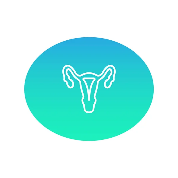 女性生殖系统彩色网页图标 矢量插图 — 图库矢量图片