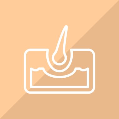 saç folikülü renk web simgesi. vektör çizim