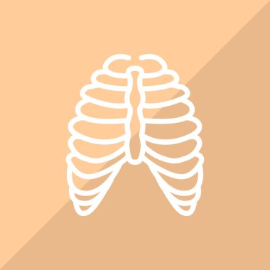 Toraks renk web simgesi. vektör çizim