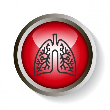 lungs color web icon. vector illustration clipart