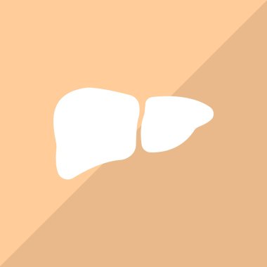 Karaciğer ağı simgesi. Vektör illüstrasyonu