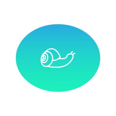 salyangoz web simgesi. Vektör çizim 