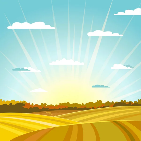 Natural country fields and forest autumn landscape background. Sunrise or sunset. Vector illustration. — Stock Vector