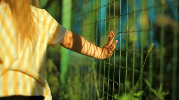 Girl Child Stands Back to the Camera and Holding a Hand of Iron Green Grid Then Releases it and Walks Away — Stock Video