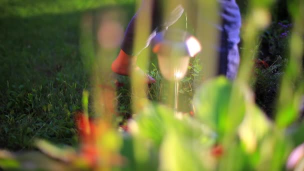 Pieds Nus Petit Enfant Marchant Long Herbe Verte Côté Lanterne — Video