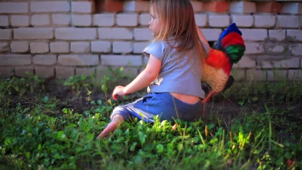 Engraçado menina é jogar com jardim brinquedo galo — Vídeo de Stock