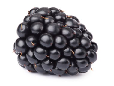 Olgun böğürtlen izole