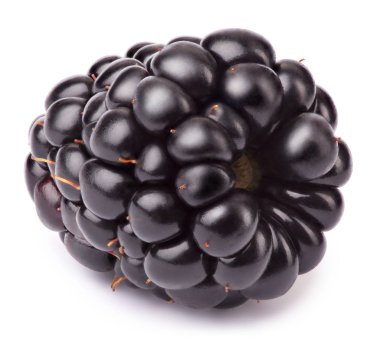 Olgun böğürtlen izole