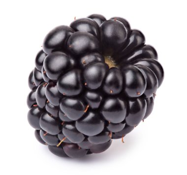 Olgun böğürtlen izole