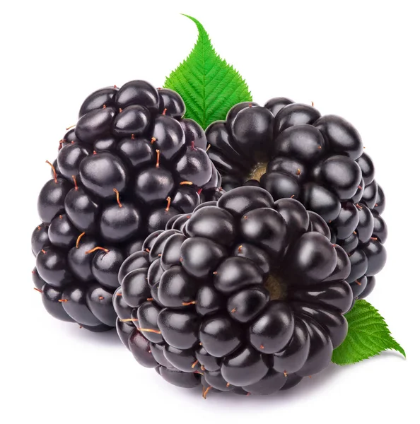 Olgun böğürtlen izole