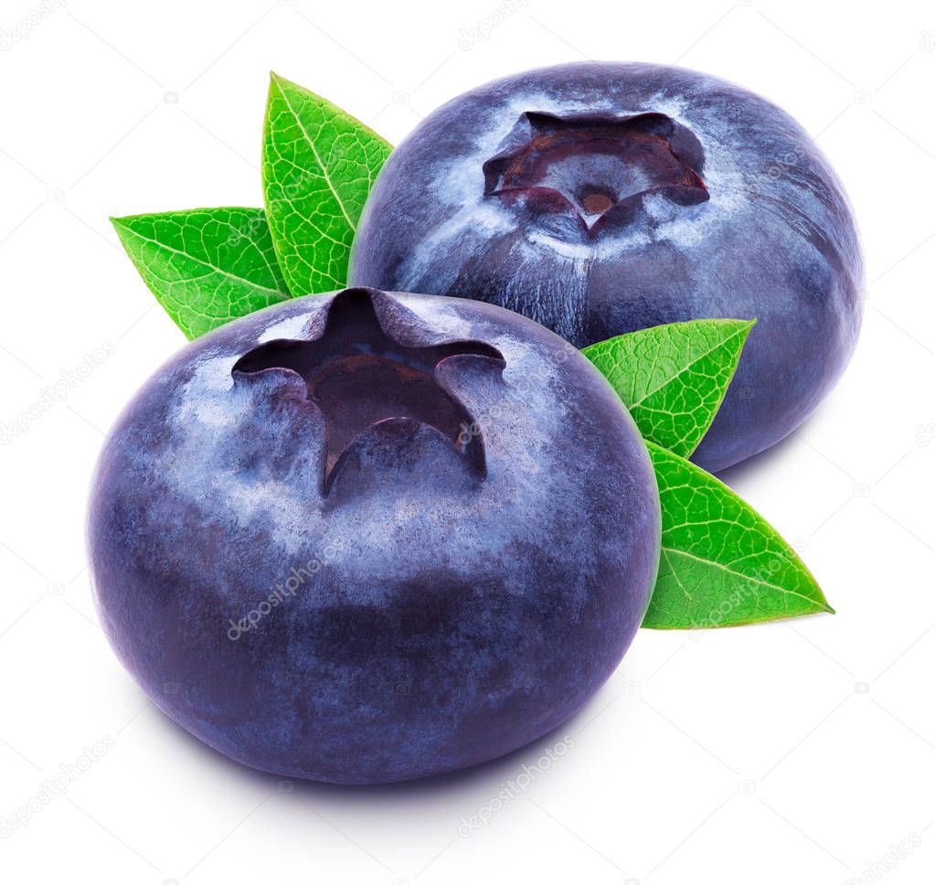 Two blueberries with leaves isolated