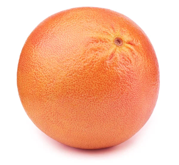 Grapefruit geïsoleerd op de witte achtergrond — Stockfoto