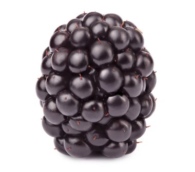 Olgun böğürtlen izole