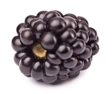 Olgun böğürtlen izole