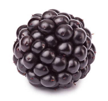 Olgun böğürtlen izole