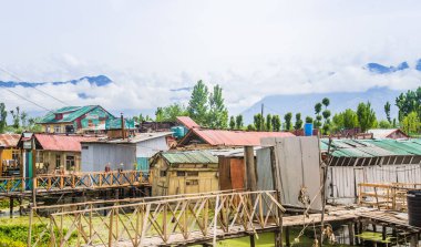 dal Gölü, Keşmir Hindistan'shikara tekne