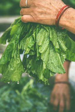 Women washing vegetable under tap water outside.