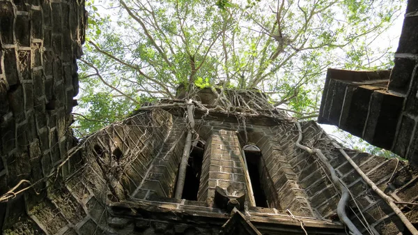 Terk edilmiş bir kilise düşük açılı görünüş