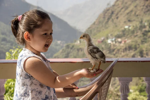 Chica Sosteniendo Pollo Esponjoso Mano Aire Libre — Foto de Stock