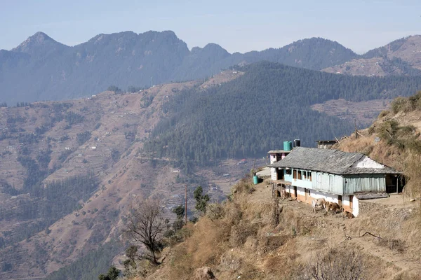 Shimla, Hindistan - 4 Aralık 2016: Shimla Vadisi, Himachal Pradesh, Hindistan 'daki dağ köyündeki tipik ahşap bir Himachal evi.