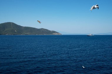 Yunanistan 'daki Ege kıyısı, thassos adası