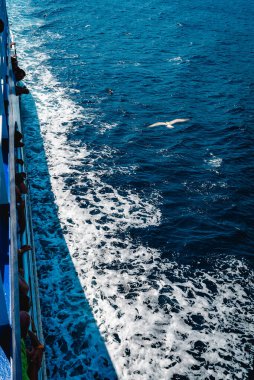 Turistler bir yolcu gemisinin güvertesinde durur ve tekne yelken açarken okyanusa bakarlar..