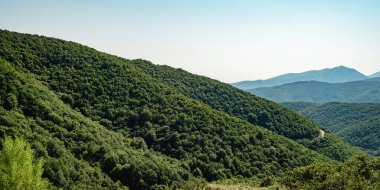 Thassos Adası 'ndaki renkli ormanlı sonbahar manzarası..
