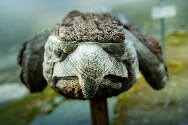 Studlhutte, Avusturya, Grossglockner yanındaki ahşap sakal 