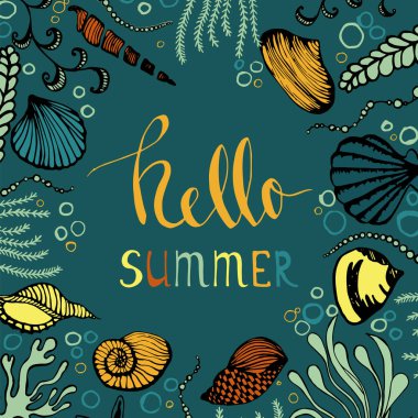 Deniz kabukları ve deniz yosunu elinden kare çerçeve çizilmiş. 