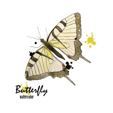 Suluboya kelebek, beyaz arka plan üzerinde izole. Bahar tasarımı öğesi.