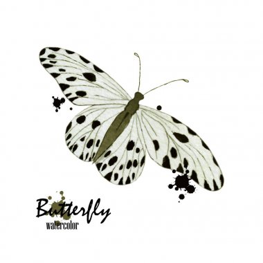 Suluboya kelebek, beyaz arka plan üzerinde izole. Bahar tasarımı öğesi.