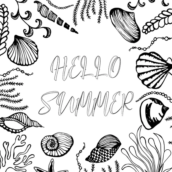 Deniz kabukları ve deniz yosunu elinden kare çerçeve çizilmiş. 