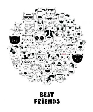 Köpek ve kedi en iyi arkadaşlar..