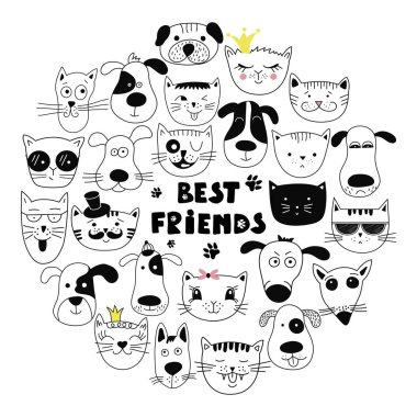 Köpek ve kedi en iyi arkadaşlar..