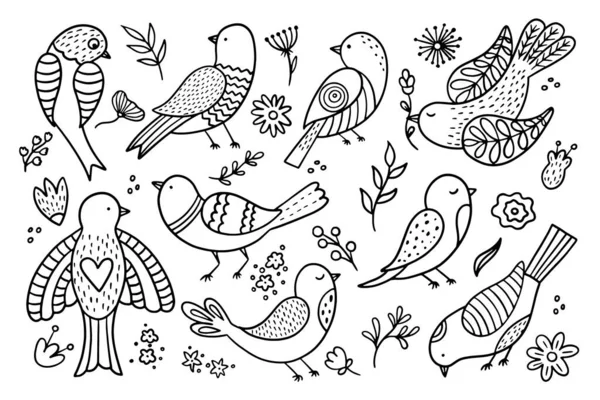 大的一套手绘鸟 用春鸟收集涂鸦 — 图库矢量图片