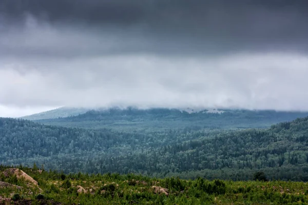 Low Clouds Mountain Forest — Stock Photo, Image