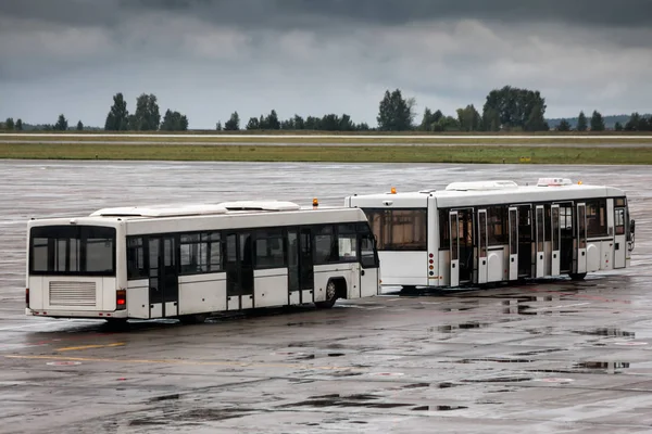 Két Üres Shuttle Busz Repülőtértől Kötény Egy Esős Napon — Stock Fotó