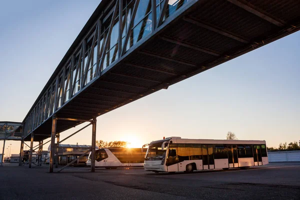 Autobuses Lanzadera Estacionamiento Del Aeropuerto Cerca Del Muelle Los Rayos — Foto de Stock