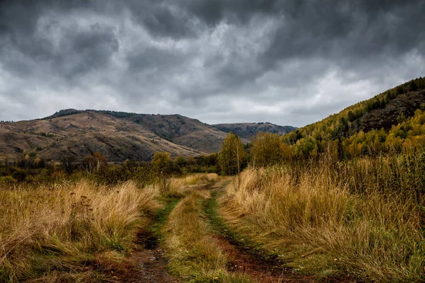 Country Road Mountains — Stock Photo, Image