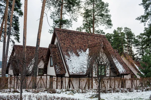 Зима Традиційний Німецький Село — стокове фото